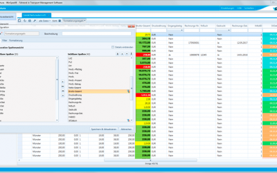 Screenshot der Sonderfaktura von WinSped